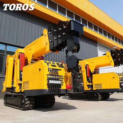 Mua 1 tấn Spider Crawler Crane Tracked Mini Crane Hiệu suất cao online manufacture